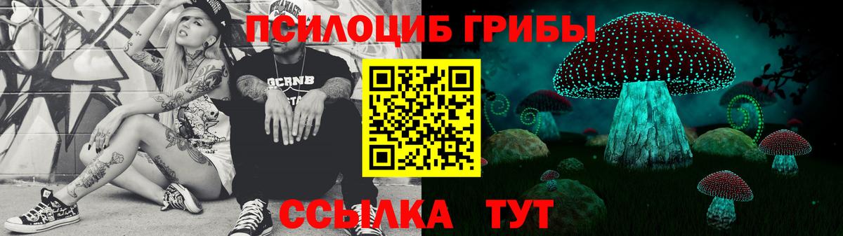 Псилоцибиновые грибы Magic Shrooms  закладка  Мурманск  Вход с VPN 